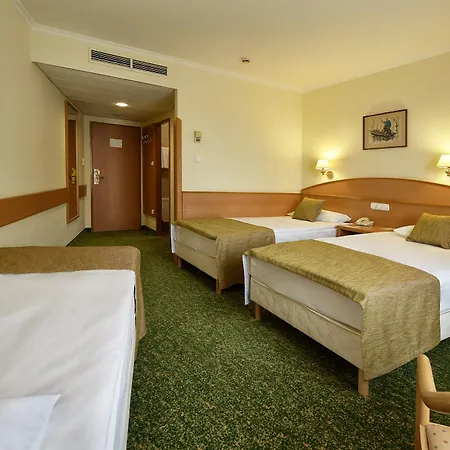 Danubius Erzsebet Center 3*