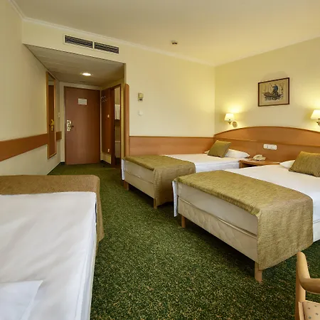 Hotel Danubius Erzsébet Center 3*