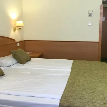 Szálloda Danubius Hotel Erzsébet City Center Budapest