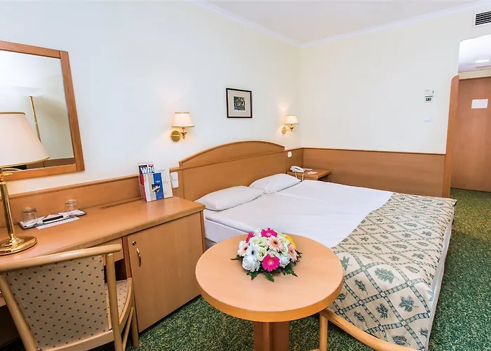 Hotel Danubius Erzsébet Center