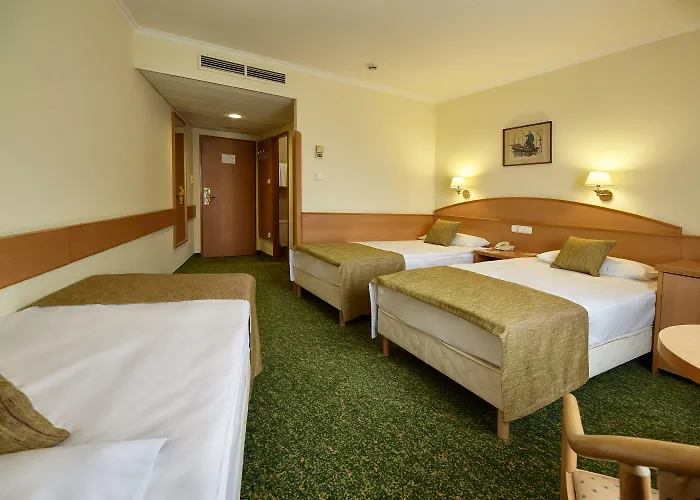 Отель Danubius Erzsebet Center 3*