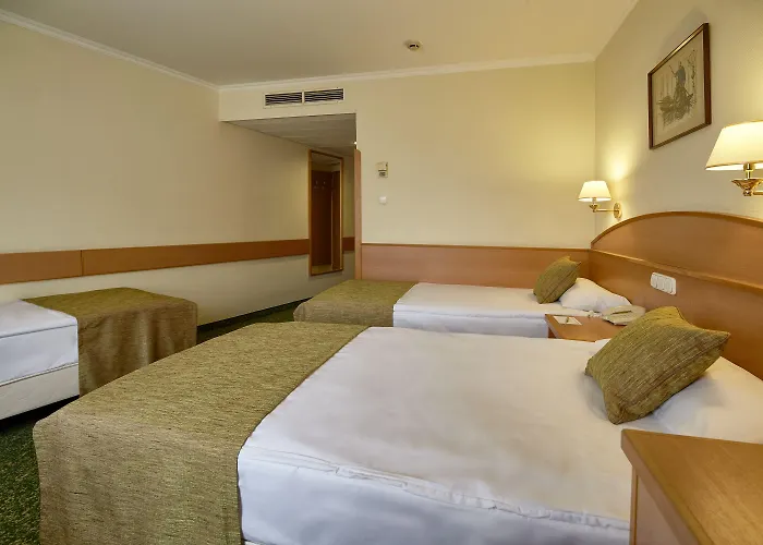 Danubius Erzsebet Center Отель